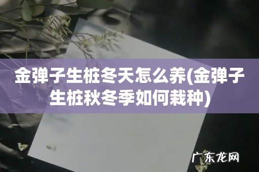 金弹子生桩秋冬季如何栽种 金弹子生桩冬天怎么养
