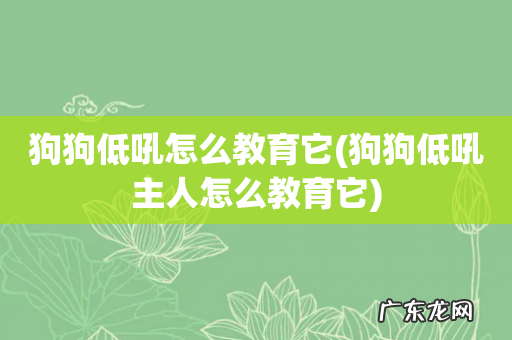 狗狗低吼主人怎么教育它 狗狗低吼怎么教育它