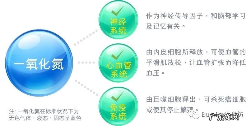 左旋肉碱对身体危害大不大 左旋肉碱的危害大吗