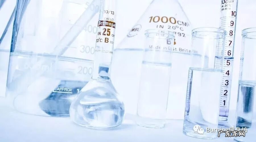 左旋肉碱对身体危害大不大 左旋肉碱的危害大吗