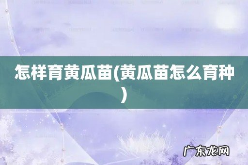 黄瓜苗怎么育种 怎样育黄瓜苗