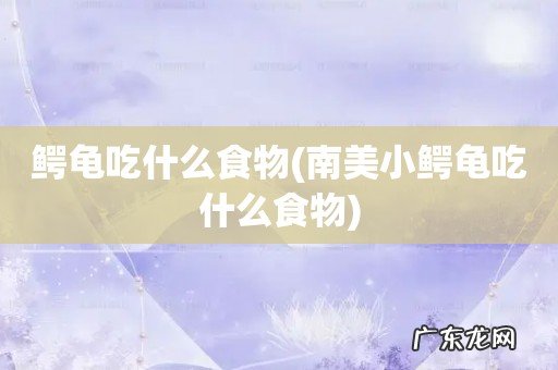 南美小鳄龟吃什么食物 鳄龟吃什么食物