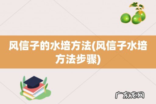 风信子水培方法步骤 风信子的水培方法