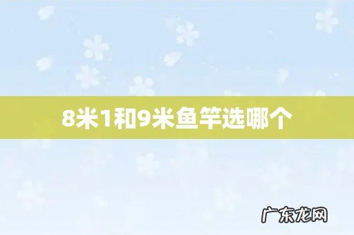 8米1和9米鱼竿选哪个
