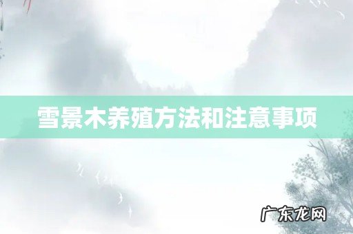 雪景木养殖方法和注意事项