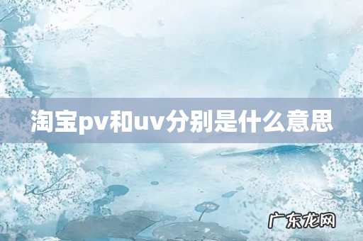 淘宝pv和uv分别是什么意思