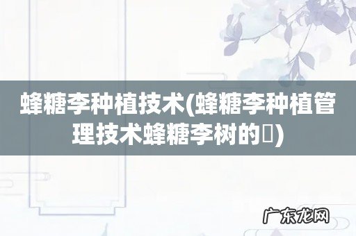 蜂糖李种植管理技术蜂糖李树的俢 蜂糖李种植技术