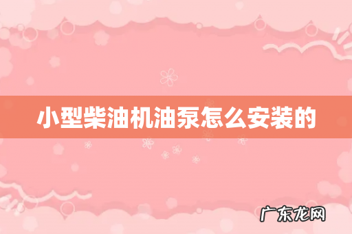 小型柴油机油泵怎么安装的