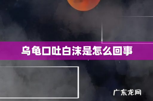 乌龟口吐白沫是怎么回事