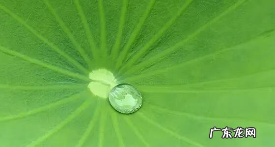 以责任为话题的作文题目 以责任为话题的作文指导