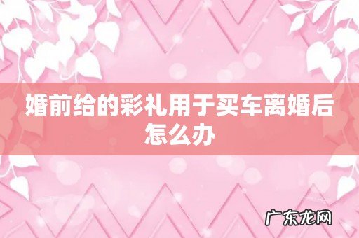 婚前给的彩礼用于买车离婚后怎么办