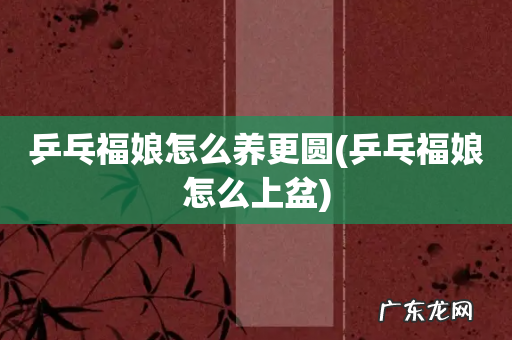 乒乓福娘怎么上盆 乒乓福娘怎么养更圆