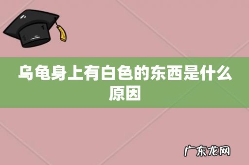 乌龟身上有白色的东西是什么原因