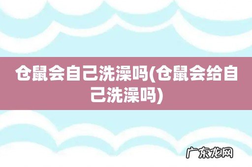 仓鼠会给自己洗澡吗 仓鼠会自己洗澡吗