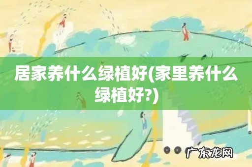 家里养什么绿植好? 居家养什么绿植好