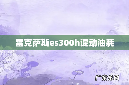 雷克萨斯es300h混动油耗