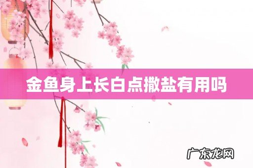 金鱼身上长白点撒盐有用吗