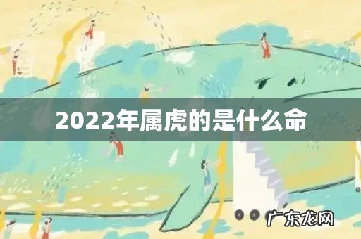 2022年属虎的是什么命