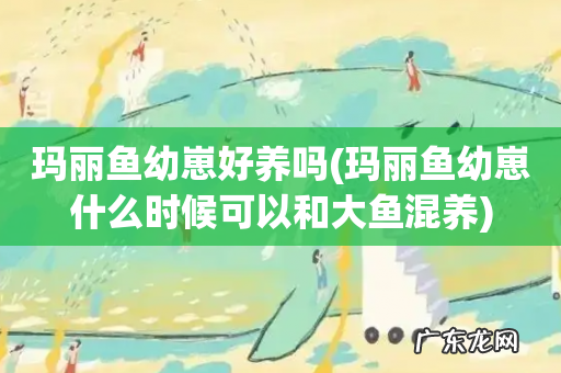 玛丽鱼幼崽什么时候可以和大鱼混养 玛丽鱼幼崽好养吗