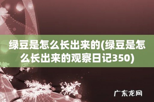 绿豆是怎么长出来的观察日记350 绿豆是怎么长出来的