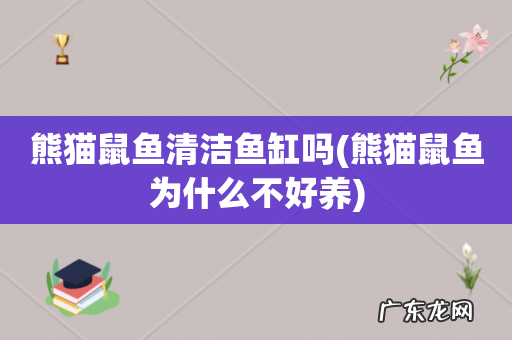 熊猫鼠鱼为什么不好养 熊猫鼠鱼清洁鱼缸吗