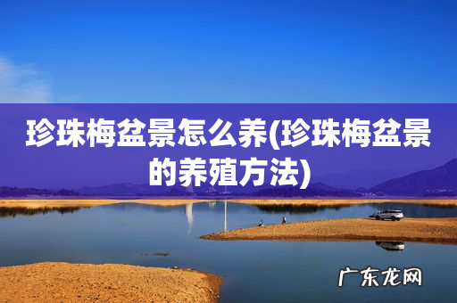 珍珠梅盆景的养殖方法 珍珠梅盆景怎么养