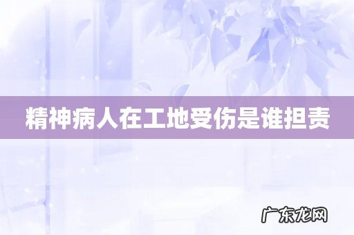 精神病人在工地受伤是谁担责
