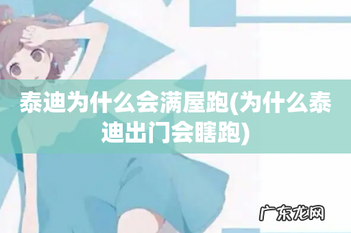 为什么泰迪出门会瞎跑 泰迪为什么会满屋跑