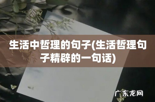 生活哲理句子精辟的一句话 生活中哲理的句子
