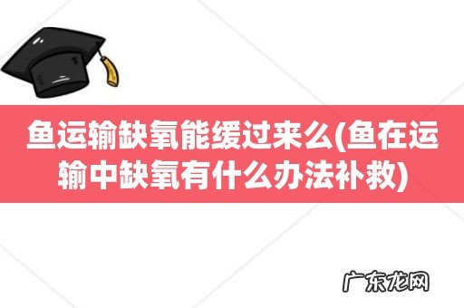 鱼在运输中缺氧有什么办法补救 鱼运输缺氧能缓过来么