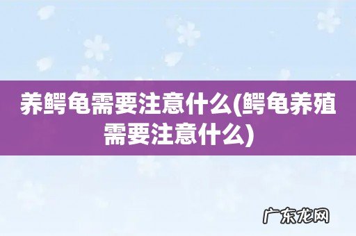 鳄龟养殖需要注意什么 养鳄龟需要注意什么
