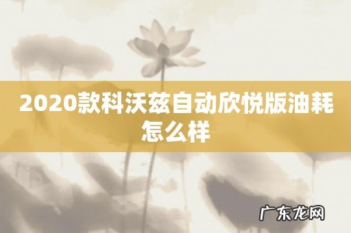 2020款科沃兹自动欣悦版油耗怎么样