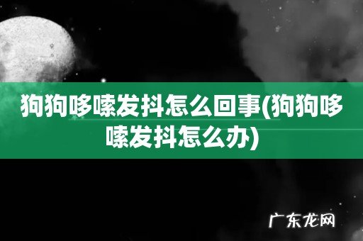 狗狗哆嗦发抖怎么办 狗狗哆嗦发抖怎么回事