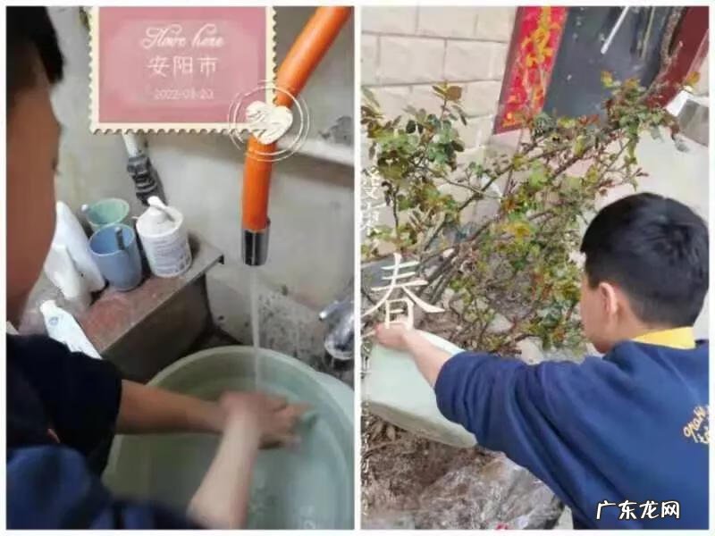 有关节约用水的资料 节约用水的资料有哪些