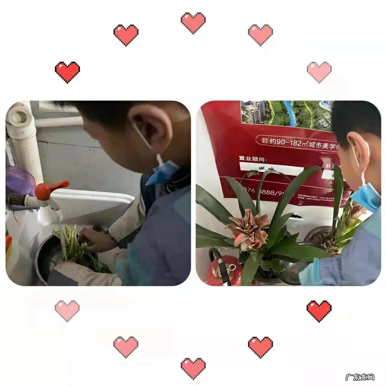 有关节约用水的资料 节约用水的资料有哪些