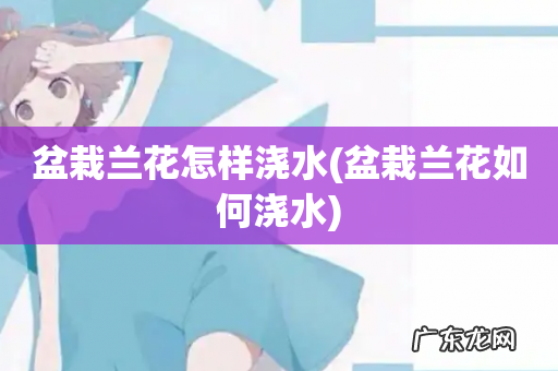 盆栽兰花如何浇水 盆栽兰花怎样浇水