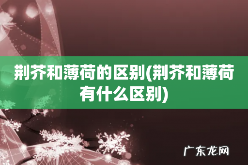 荆芥和薄荷有什么区别 荆芥和薄荷的区别