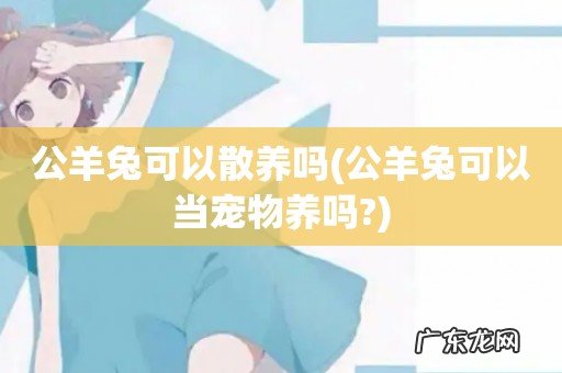 公羊兔可以当宠物养吗? 公羊兔可以散养吗