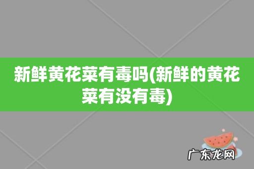 新鲜的黄花菜有没有毒 新鲜黄花菜有毒吗