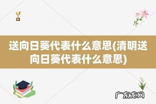 清明送向日葵代表什么意思 送向日葵代表什么意思