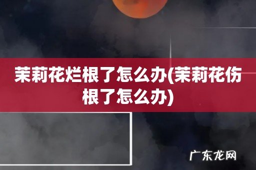 茉莉花伤根了怎么办 茉莉花烂根了怎么办