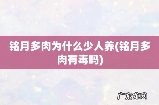 铭月多肉有毒吗 铭月多肉为什么少人养