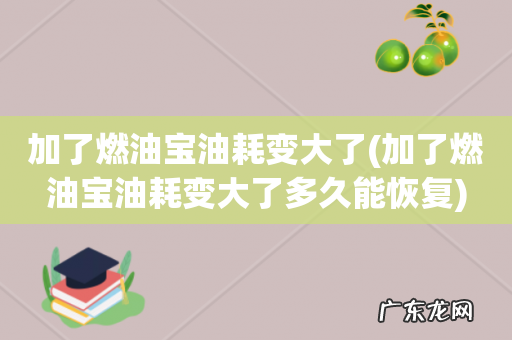 加了燃油宝油耗变大了多久能恢复 加了燃油宝油耗变大了