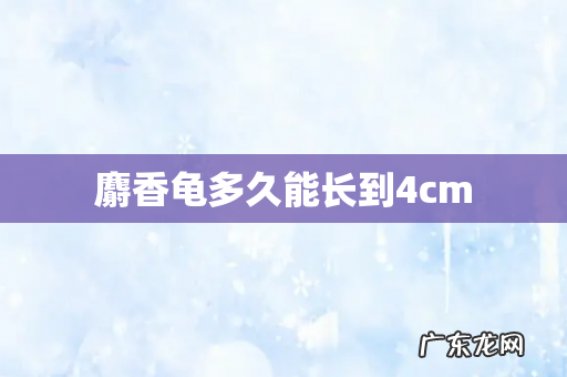 麝香龟多久能长到4cm