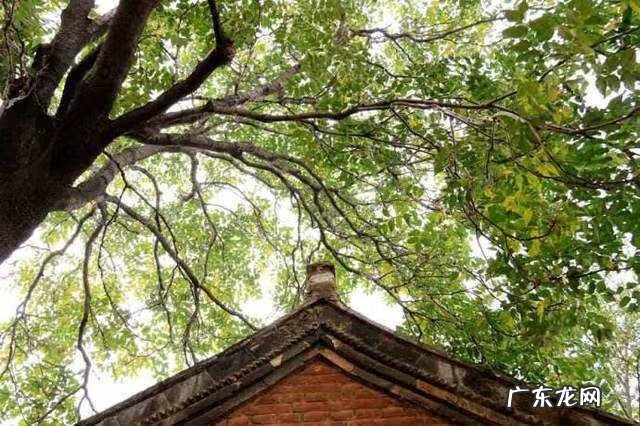 买别人穿过的衣服风水 剪别人衣服风水