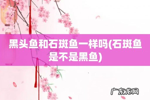 石斑鱼是不是黑鱼 黑头鱼和石斑鱼一样吗