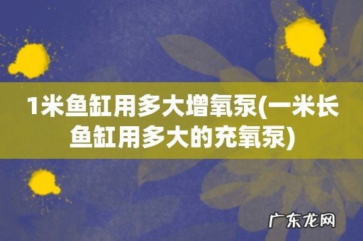 一米长鱼缸用多大的充氧泵 1米鱼缸用多大增氧泵