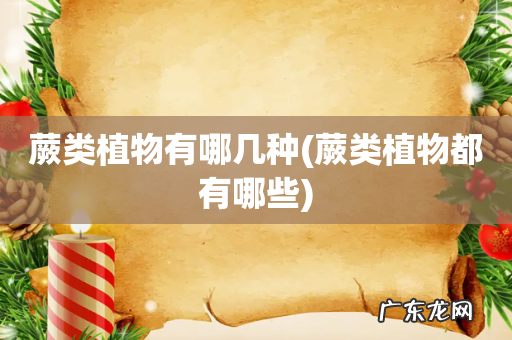 蕨类植物都有哪些 蕨类植物有哪几种