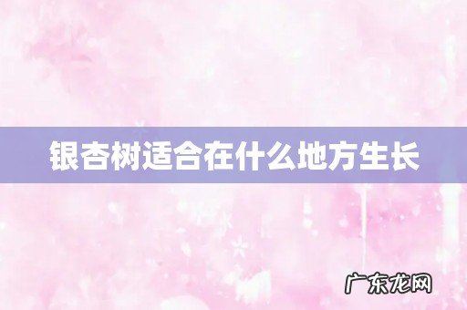 银杏树适合在什么地方生长