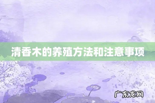 清香木的养殖方法和注意事项